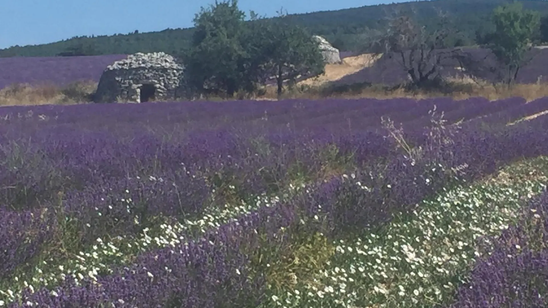 Au Clair Ventoux B & B - Spa Saint Didier  0*, Saint Didier (Vaucluse) France