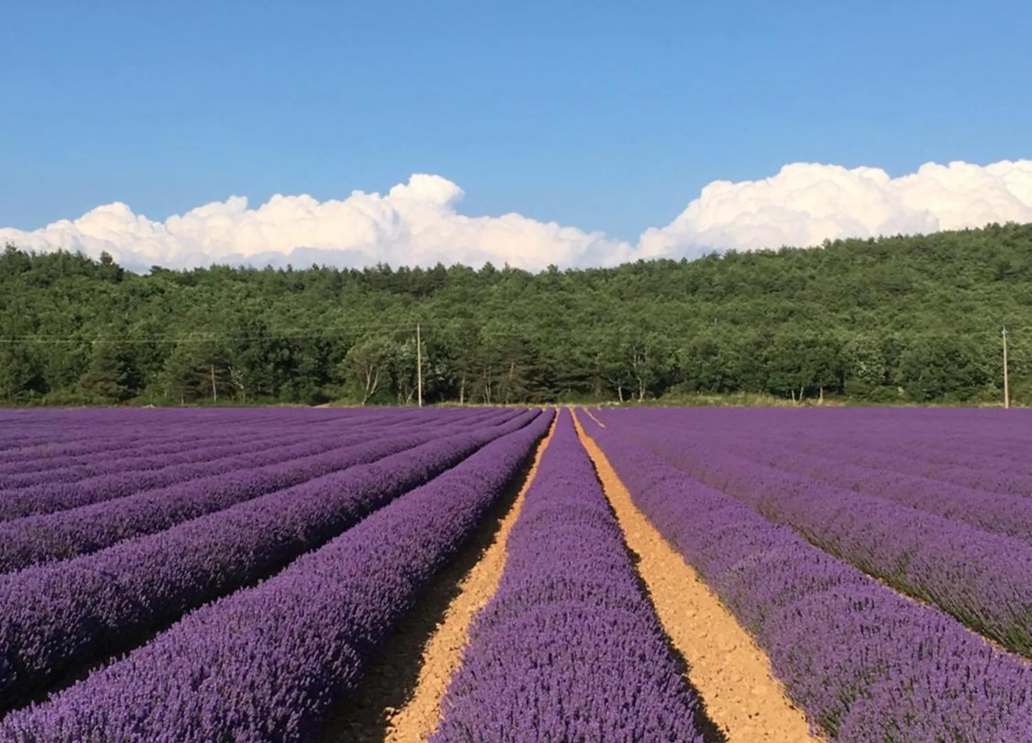 Au Clair Ventoux B & B - Spa Saint Didier  Couette-café Saint Didier (Vaucluse)